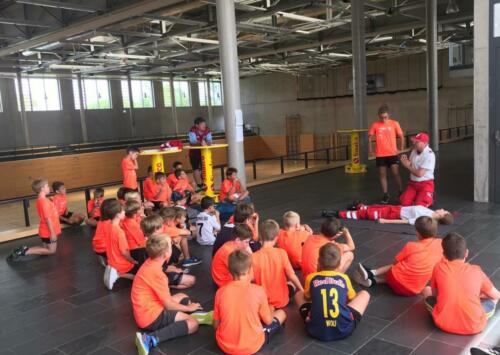 2019 camp tulln